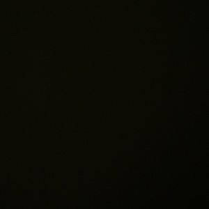 Meet your Posher, Nora